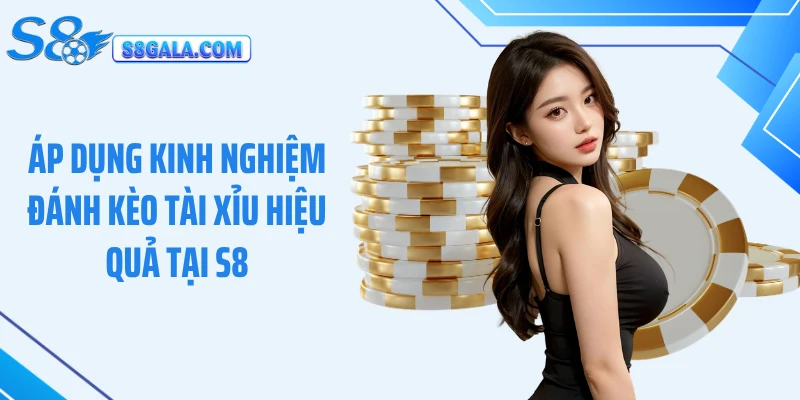 Áp dụng kinh nghiệm đánh kèo tài xỉu hiệu quả tại S8
