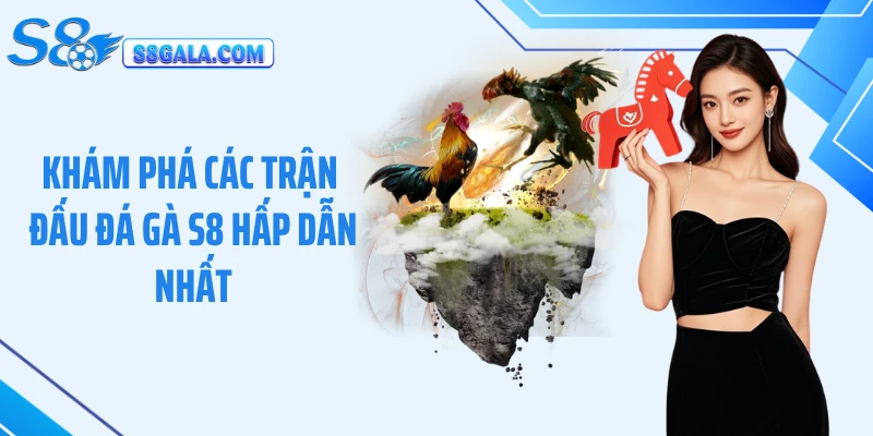 Khám phá các trận đấu đá gà S8 hấp dẫn nhất