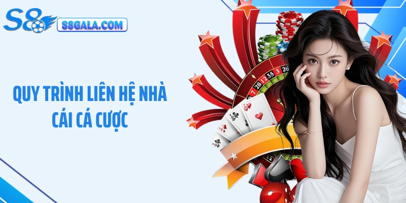 Quy trình liên hệ nhà cái cá cược
