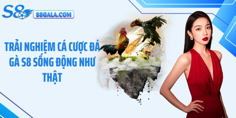 Trải nghiệm cá cược đá gà S8 sống động như thật